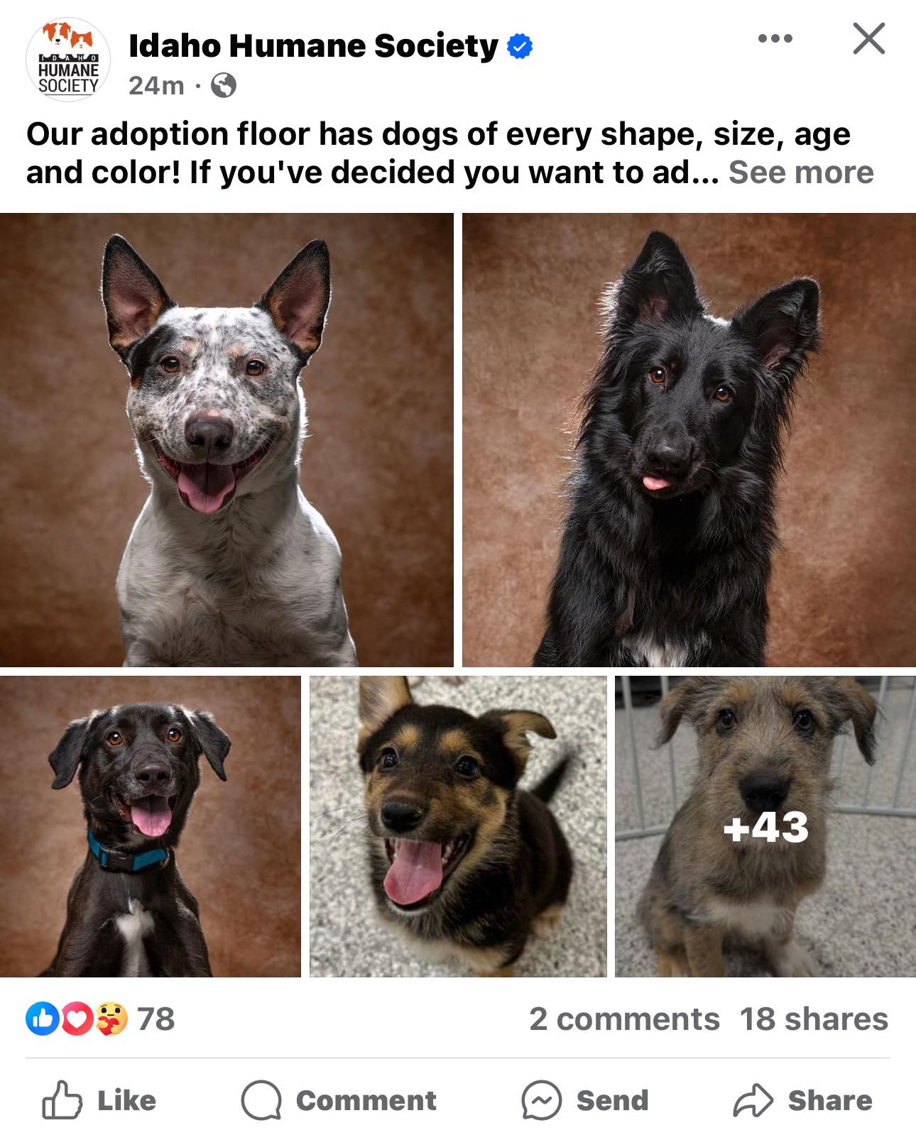 Idaho Humane Society